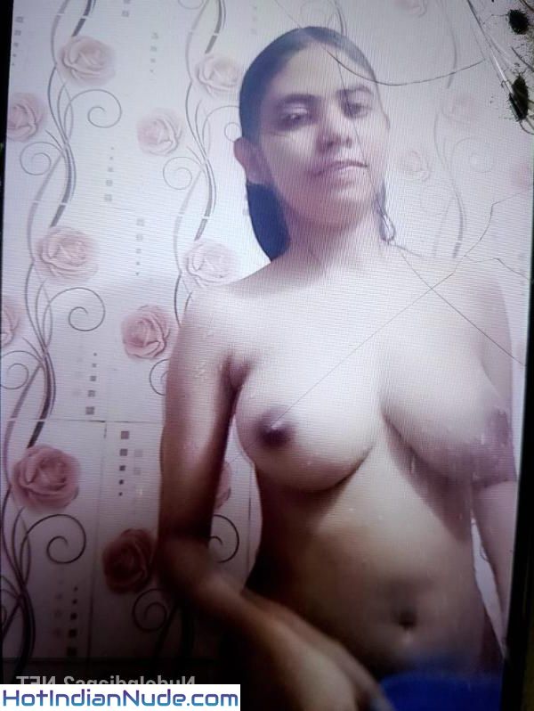 High Fidelity Hinglish Indian Aunties Sex Photos
